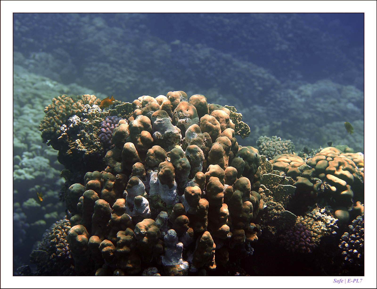 Hurghada - Juillet 2021 - 090